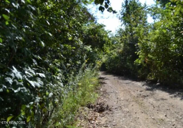 Photo 4 of Land for sale at 3ac Rock Springs Rd, Celina, TN 38551 | MLS# 1354770 | Listing updated on 2026-09-08