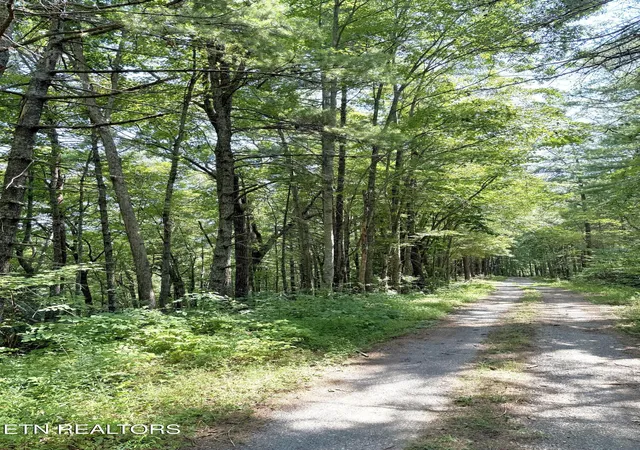 Land for sale at Lot 4 Oakwood Rd, Walland, TN 37886 | MLS# 1355140