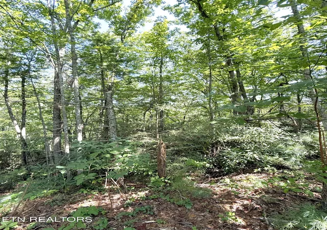 Photo 2 of Land for sale at Lot 4 Oakwood Rd, Walland, TN 37886 | MLS# 1355140 | Listing updated on 2026-09-11