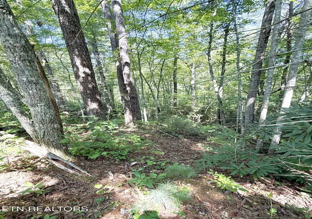 Photo 3 of Land for sale at Lot 4 Oakwood Rd, Walland, TN 37886 | MLS# 1355140 | Listing updated on 2026-09-11
