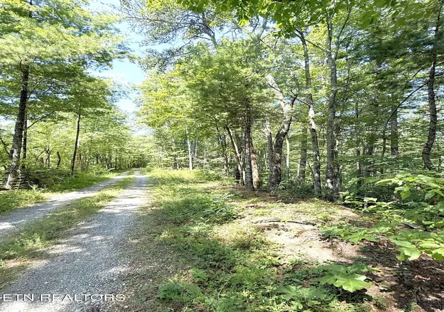 Photo 3 of Land for sale at Lot 4 Oakwood Rd, Walland, TN 37886 | MLS# 1355140 | Listing updated on 2026-09-11