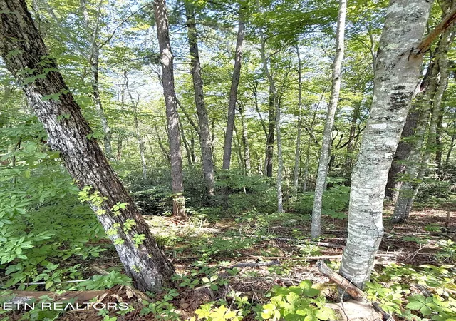 Photo 4 of Land for sale at Lot 4 Oakwood Rd, Walland, TN 37886 | MLS# 1355140 | Listing updated on 2026-09-11