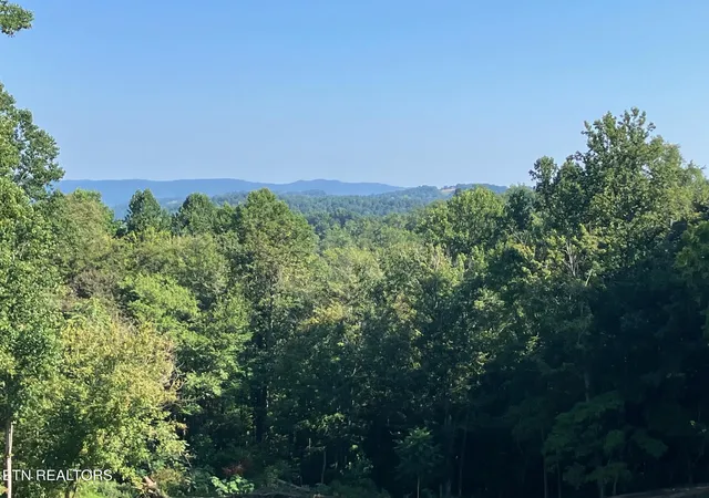 Photo 2 of Land for sale at Locust Grv Rd, New Tazewell, TN 37825 | MLS# 1354798 | Listing updated on 2026-09-09