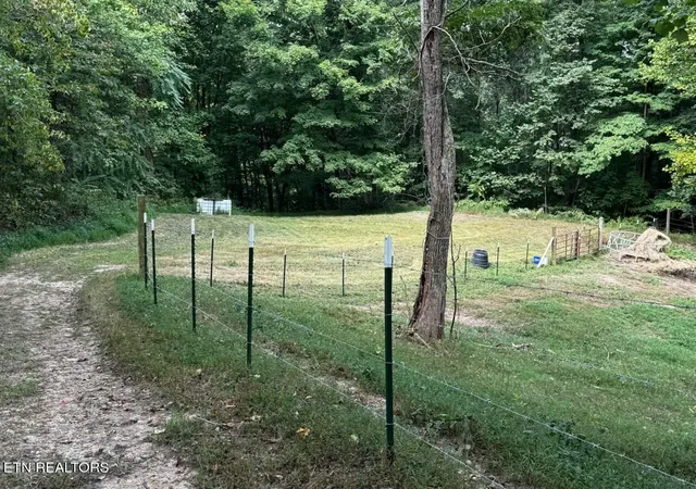 Photo 3 of Land for sale at Locust Grv Rd, New Tazewell, TN 37825 | MLS# 1354798 | Listing updated on 2026-09-09