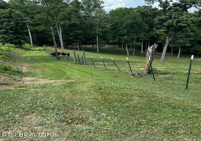 Photo 3 of Land for sale at Locust Grv Rd, New Tazewell, TN 37825 | MLS# 1354798 | Listing updated on 2026-09-09