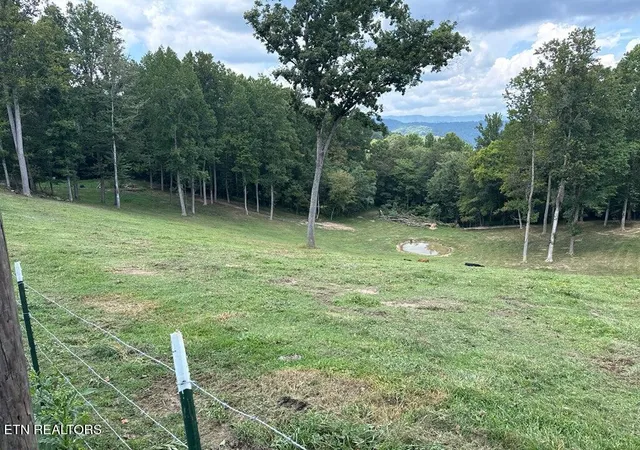 Photo 4 of Land for sale at Locust Grv Rd, New Tazewell, TN 37825 | MLS# 1354798 | Listing updated on 2026-09-09