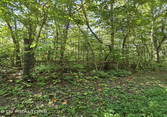 Photo 1 of Sale Pending at 0 Old Rugby Pike, Robbins, TN 37852 | MLS# 1355088 | Listing updated on 2026-10-01