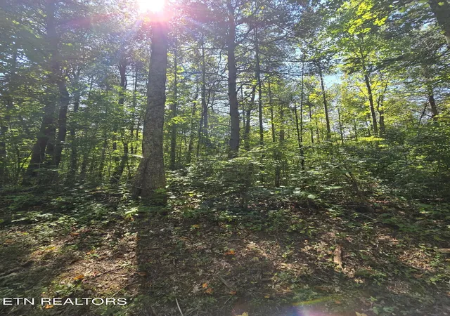 Photo 2 of Sale Pending at 0 Old Rugby Pike, Robbins, TN 37852 | MLS# 1355088 | Listing updated on 2026-10-01