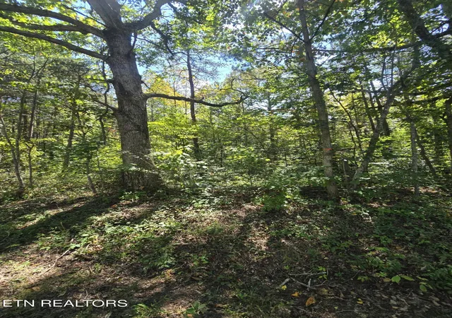 Photo 3 of Sale Pending at 0 Old Rugby Pike, Robbins, TN 37852 | MLS# 1355088 | Listing updated on 2026-10-01