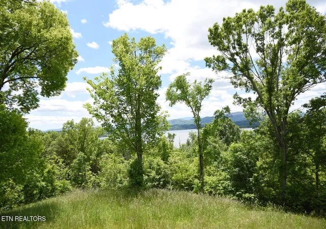 Photo 2 of Land for sale at Lot 5 Waterford Way, Newport, TN 37821 | MLS# 1354846 | Listing updated on 2026-09-09