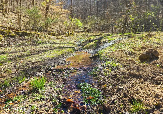 Photo 3 of Land for sale at 515 Robinson Rd, New Tazewell, TN 37825 | MLS# 1354835 | Listing updated on 2026-09-09