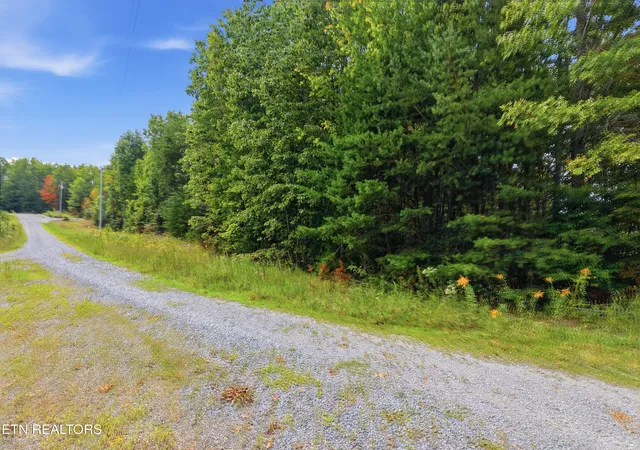 Land for sale at 335 Mockingbird Ln, Wilder, TN 38589 | MLS# 1355057