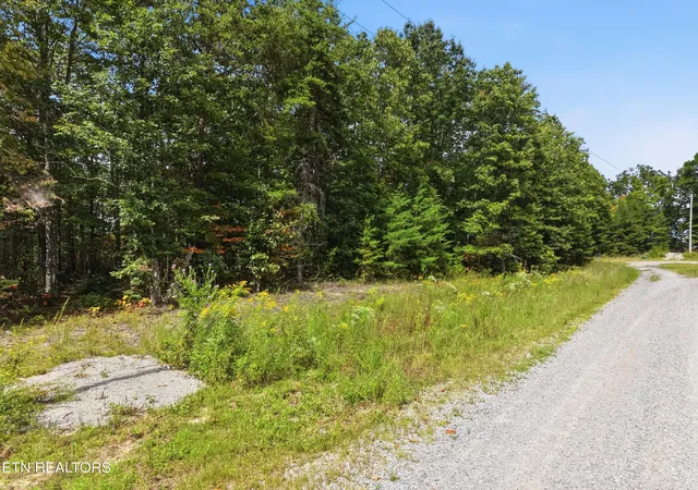 Photo 1 of Land for sale at 335 Mockingbird Ln, Wilder, TN 38589 | MLS# 1355057 | Listing updated on 2026-09-10