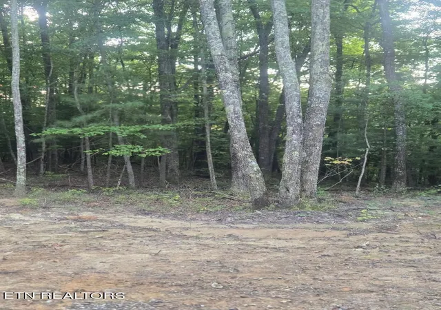 Photo 2 of Land for sale at Lot 5 Bk I Ravenwood Dr, Wartburg, TN 37887 | MLS# 1355056 | Listing updated on 2026-09-17
