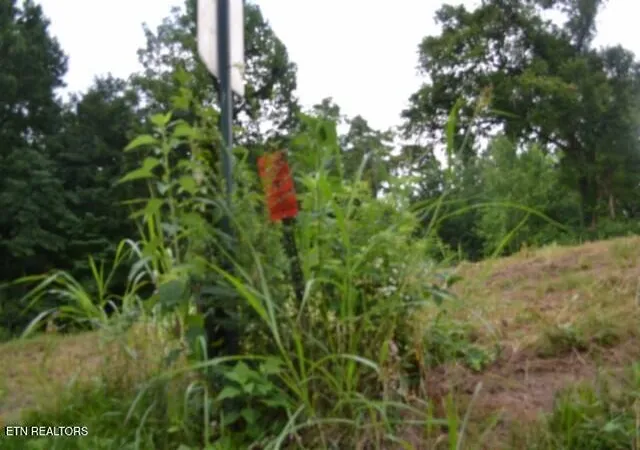 Photo 4 of Sale Pending at 2390 Pea Ridge Fire Tower Rd, Celina, TN 38551 | MLS# 1355055 | Listing updated on 2026-10-07