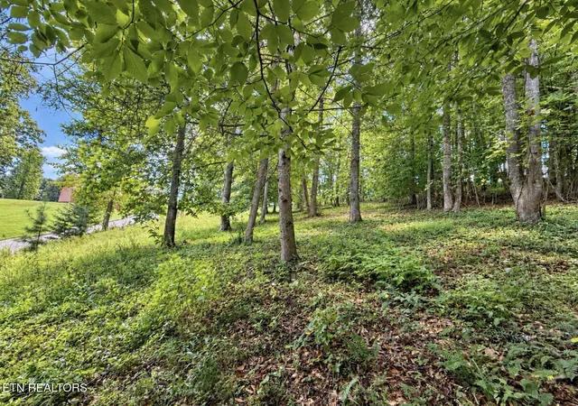 Photo 2 of Land for sale at Foxwood Dr, Caryville, TN 37714 | MLS# 1355508 | Listing updated on 2026-09-15
