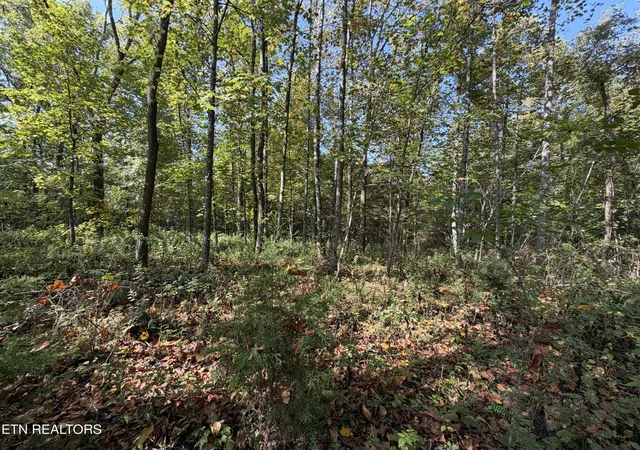 Photo 1 of Land for sale at 2235 Ac Moore Knob Rd, Allardt, TN 38504 | MLS# 1355227 | Listing updated on 2026-09-11