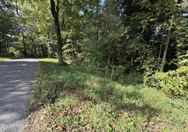 Photo 3 of Land for sale at 2235 Ac Moore Knob Rd, Allardt, TN 38504 | MLS# 1355227 | Listing updated on 2026-09-11