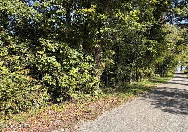 Photo 3 of Land for sale at 2235 Ac Moore Knob Rd, Allardt, TN 38504 | MLS# 1355227 | Listing updated on 2026-09-11