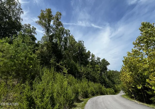 Land for sale at Emerald Pointe Blvd, Sevierville, TN 37876 | MLS# 1355194