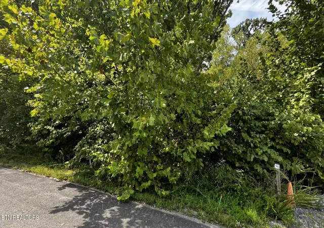 Photo 1 of Land for sale at Emerald Pointe Blvd, Sevierville, TN 37876 | MLS# 1355194 | Listing updated on 2026-10-30