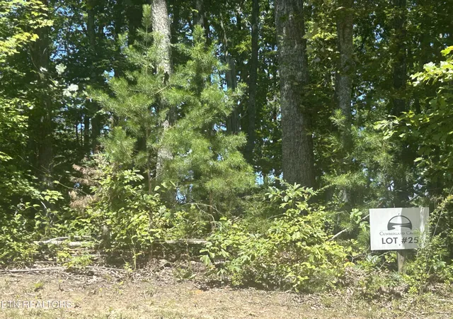 Land for sale at 355 Partridge Tr, Grandview, TN 37337 | MLS# 1355213