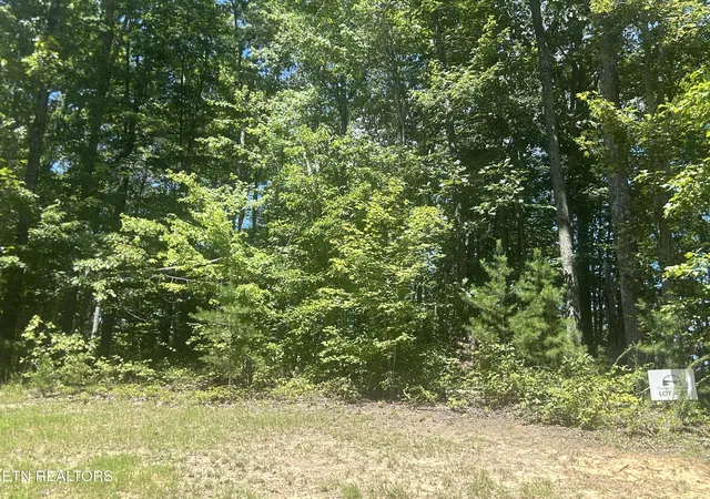 Photo 3 of Land for sale at 355 Partridge Tr, Grandview, TN 37337 | MLS# 1355213 | Listing updated on 2026-09-15