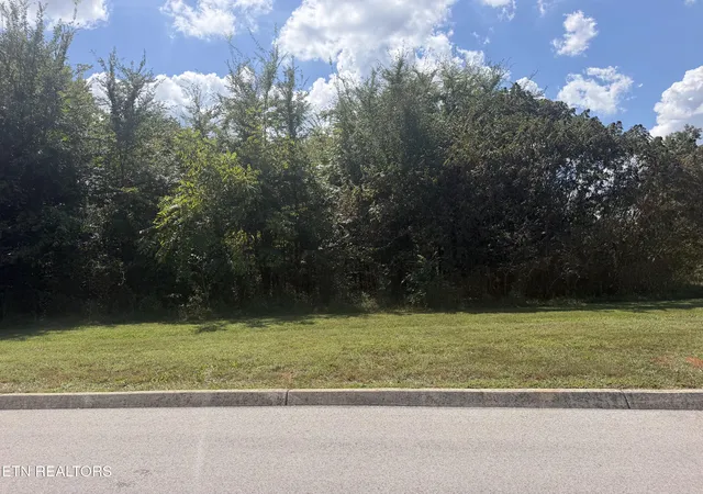 Photo 3 of Land for sale at Lot 101 Falcon, Vonore, TN 37885 | MLS# 1355245 | Listing updated on 2026-09-11