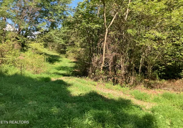 Photo 3 of Sale Pending at Tract 1 Ousley Gap Rd, Maynardville, TN 37807 | MLS# 1355251 | Listing updated on 2026-09-24