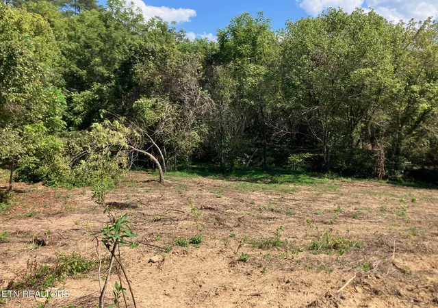 Photo 4 of Sale Pending at Tract 1 Ousley Gap Rd, Maynardville, TN 37807 | MLS# 1355251 | Listing updated on 2026-09-24