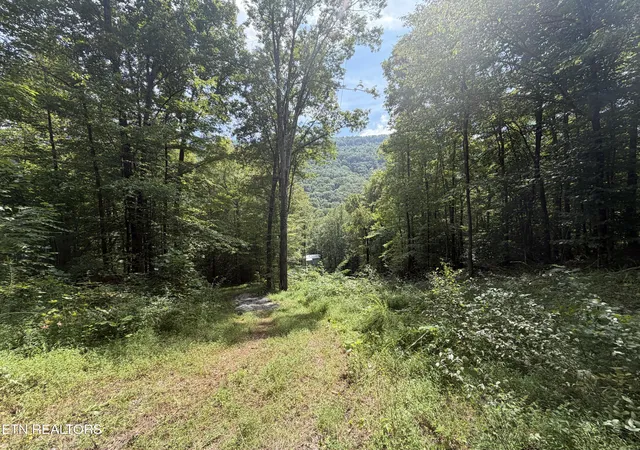 Land for sale at 0 Snake Holw Rd, Sneedville, TN 37869 | MLS# 1355257