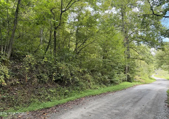 Photo 2 of Land for sale at 0 Snake Holw Rd, Sneedville, TN 37869 | MLS# 1355257 | Listing updated on 2026-09-22
