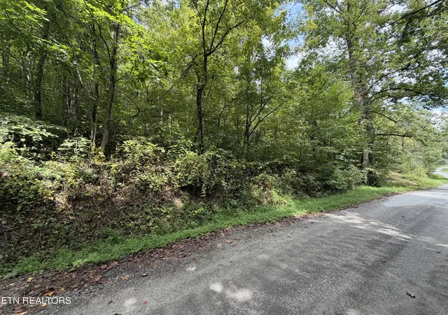 Photo 3 of Land for sale at 0 Snake Holw Rd, Sneedville, TN 37869 | MLS# 1355257 | Listing updated on 2026-09-22