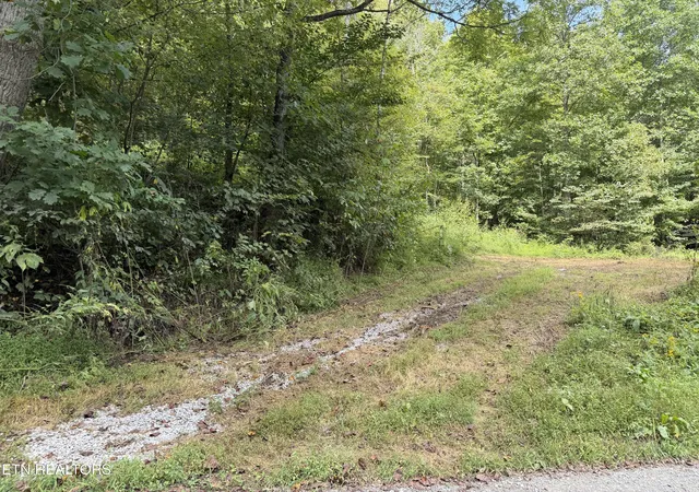 Photo 4 of Land for sale at 0 Snake Holw Rd, Sneedville, TN 37869 | MLS# 1355257 | Listing updated on 2026-09-22