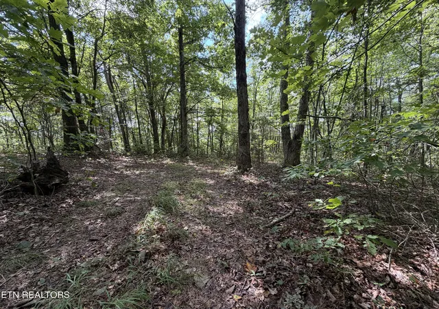 Photo 2 of Sale Pending at 361 Ac Long View Ln, Jamestown, TN 38556 | MLS# 1355300 | Listing updated on 2026-10-06