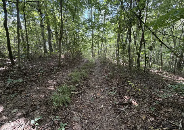 Photo 3 of Sale Pending at 361 Ac Long View Ln, Jamestown, TN 38556 | MLS# 1355300 | Listing updated on 2026-10-06