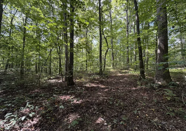Photo 4 of Sale Pending at 361 Ac Long View Ln, Jamestown, TN 38556 | MLS# 1355300 | Listing updated on 2026-10-06