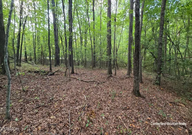 Photo 1 of Land for sale at Birch Pl, Monterey, TN 38574 | MLS# 1355614 | Listing updated on 2026-09-29