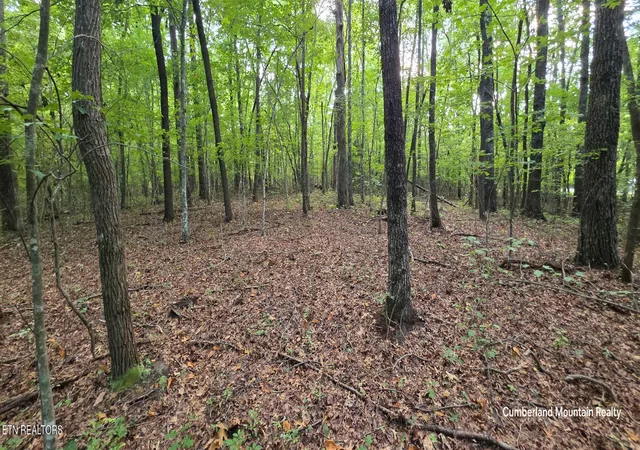 Photo 2 of Land for sale at Birch Pl, Monterey, TN 38574 | MLS# 1355614 | Listing updated on 2026-09-29