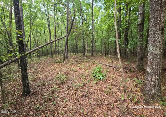 Photo 3 of Land for sale at Birch Pl, Monterey, TN 38574 | MLS# 1355614 | Listing updated on 2026-09-29