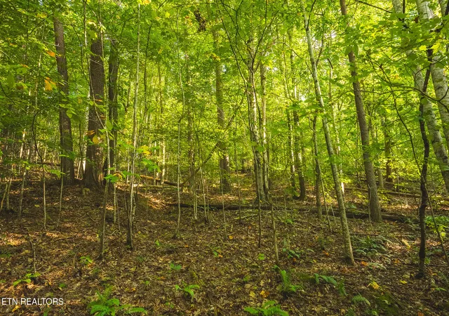 Photo 3 of Land for sale at 862 Ac Stone Mountain Rd, Bulls Gap, TN 37711 | MLS# 1355563 | Listing updated on 2026-09-15