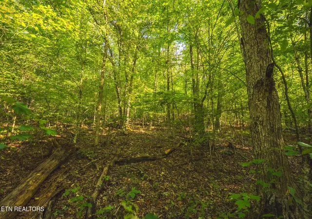 Photo 3 of Land for sale at 862 Ac Stone Mountain Rd, Bulls Gap, TN 37711 | MLS# 1355563 | Listing updated on 2026-09-15