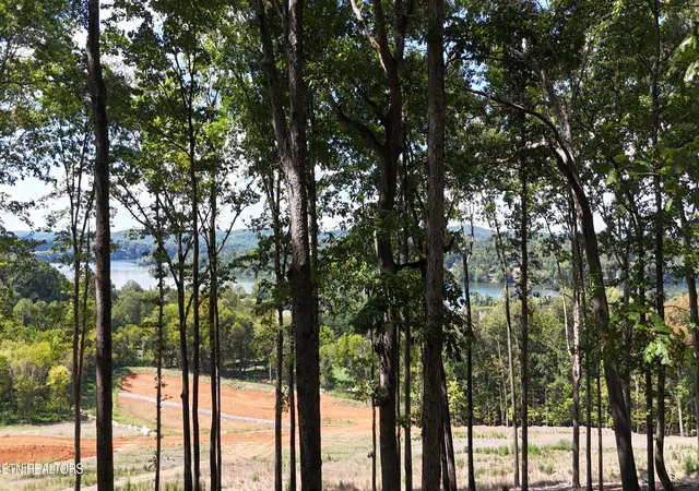 Photo 1 of Land for sale at 137 Eagles Crst Ct, Loudon, TN 37774 | MLS# 1355347 | Listing updated on 2026-09-12