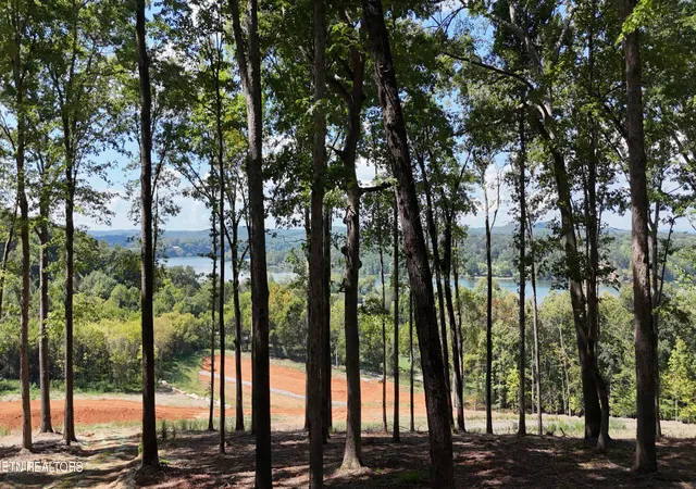 Photo 3 of Land for sale at 137 Eagles Crst Ct, Loudon, TN 37774 | MLS# 1355347 | Listing updated on 2026-09-12