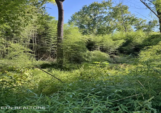 Land for sale at S Lenoir Ave, Rockwood, TN 37854 | MLS# 1355385