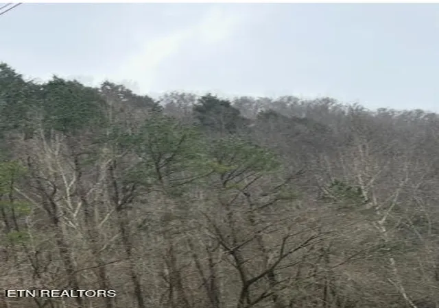 Photo 1 of Land for sale at Tbd Ky 38, Le Junior, KY 40849 | MLS# 1355359 | Listing updated on 2026-09-13