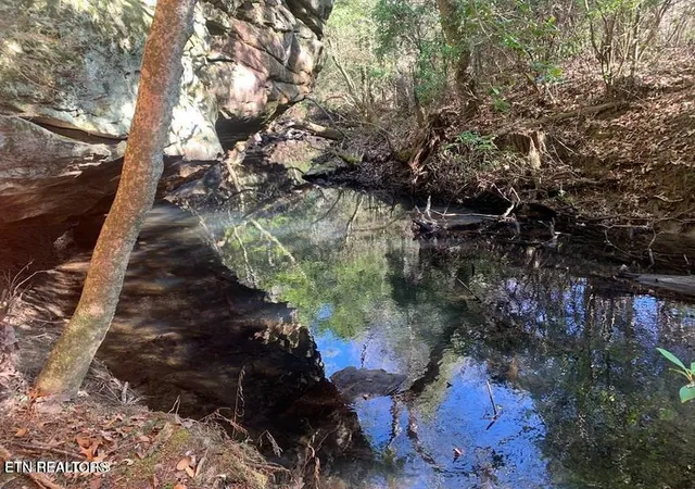 Photo 1 of Land for sale at Tract 1 Lone Wolf Tr, Spencer, TN 38585 | MLS# 1355434 | Listing updated on 2026-09-14