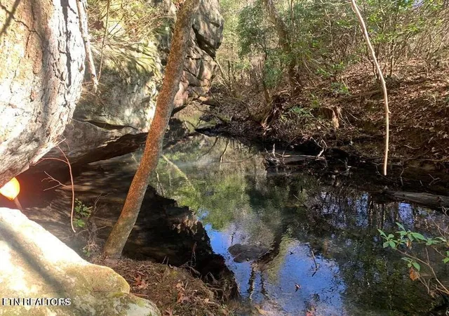 Photo 2 of Land for sale at Tract 1 Lone Wolf Tr, Spencer, TN 38585 | MLS# 1355434 | Listing updated on 2026-09-14