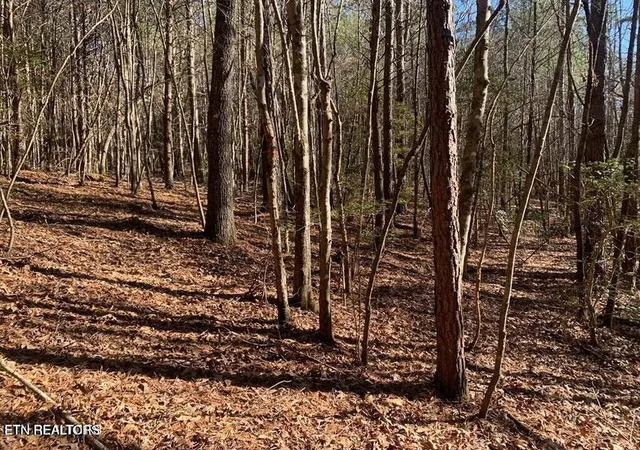 Photo 3 of Land for sale at Tract 1 Lone Wolf Tr, Spencer, TN 38585 | MLS# 1355434 | Listing updated on 2026-09-14