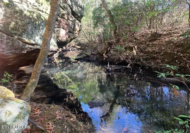 Photo 4 of Land for sale at Tract 1 Lone Wolf Tr, Spencer, TN 38585 | MLS# 1355434 | Listing updated on 2026-09-14